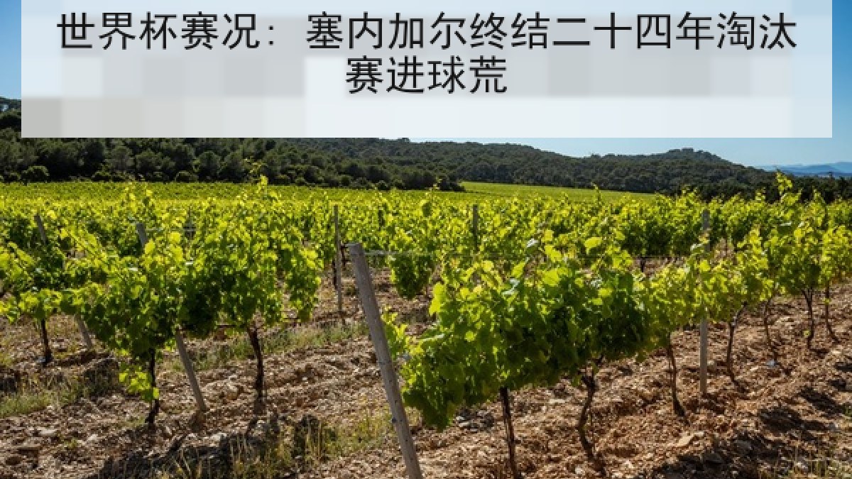 世界杯赛况: 塞内加尔终结二十四年淘汰赛进球荒