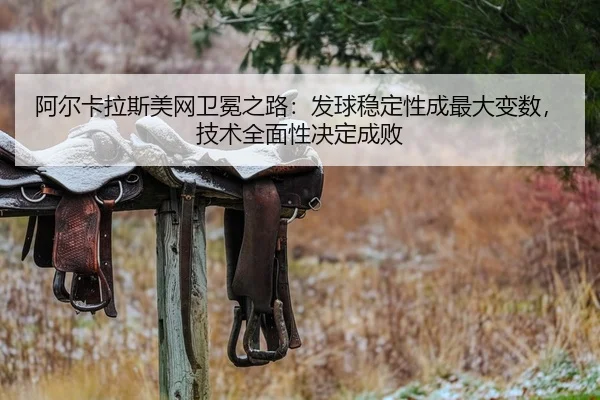 a-er-ka-la-si-mei-wang-wei-mian-zhi-lu-fa-qiu-wen-ding-xing-cheng-zui-da-bian-shu-ji-shu-quan-mian-xing-jue-ding-cheng-2-696.jpg