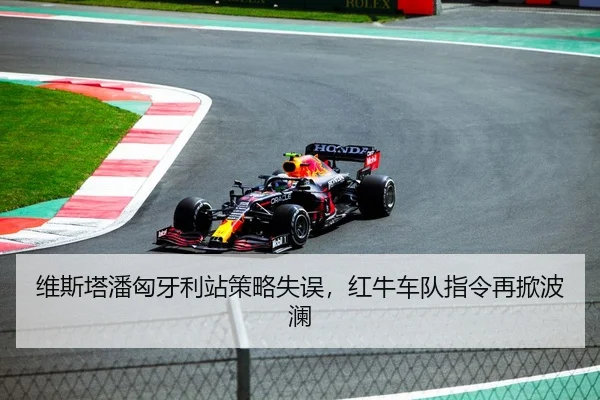 维斯塔潘匈牙利站策略失误，红牛车队指令再掀波澜
